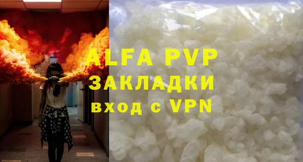 хмурый Бородино