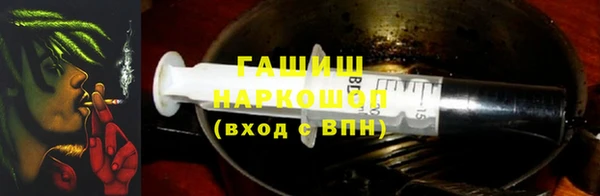 хмурый Бородино