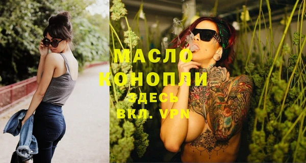 хмурый Бородино