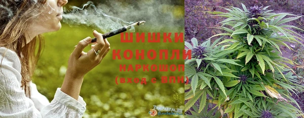 хмурый Бородино