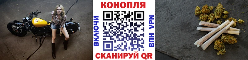 наркота  Ленинградская  Бошки марихуана гибрид 